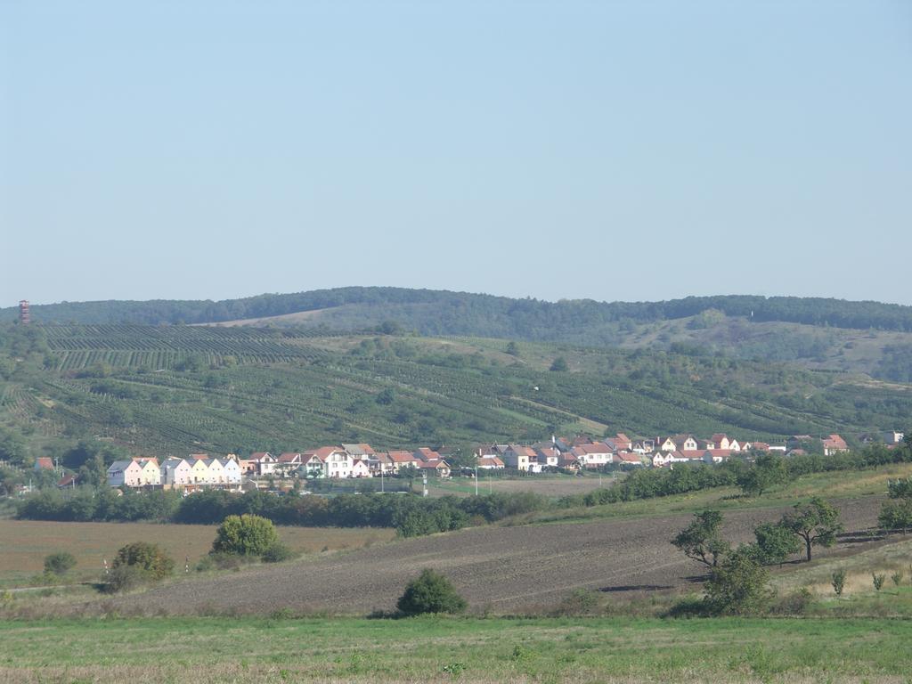 Bořetice Hotel Kravi Hora חדר תמונה
